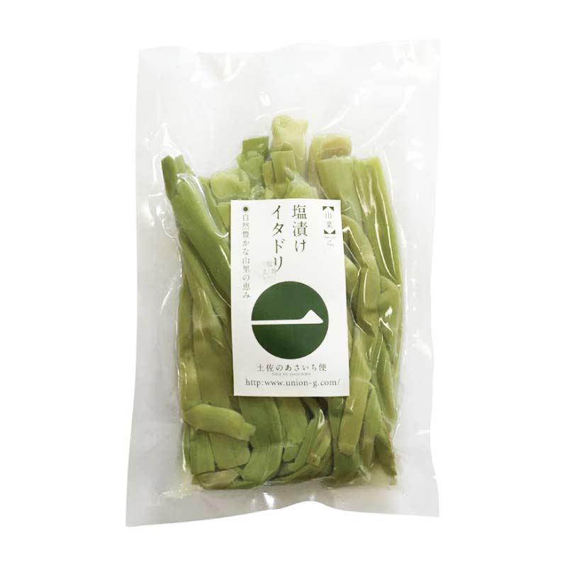 山形県産 イタドリ塩漬け　2kg(1kg×2袋) 山菜　野菜　塩蔵